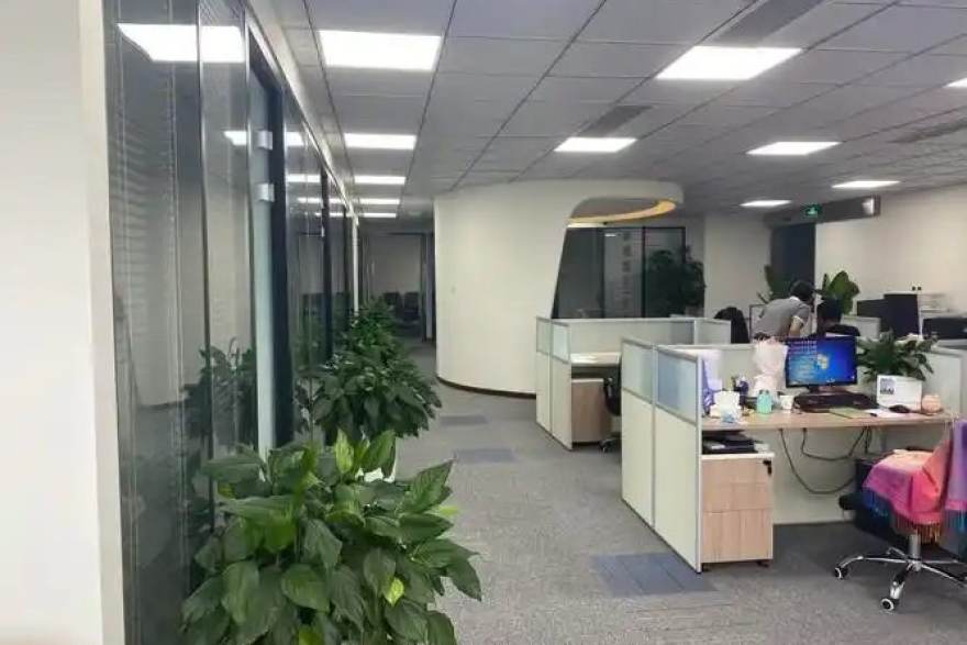 观赛设备建议：手机与PC端的清晰度选择