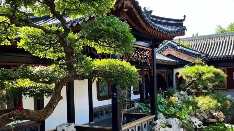 Faker是否参加S16全球总决赛?关键判断依据与观赛指南